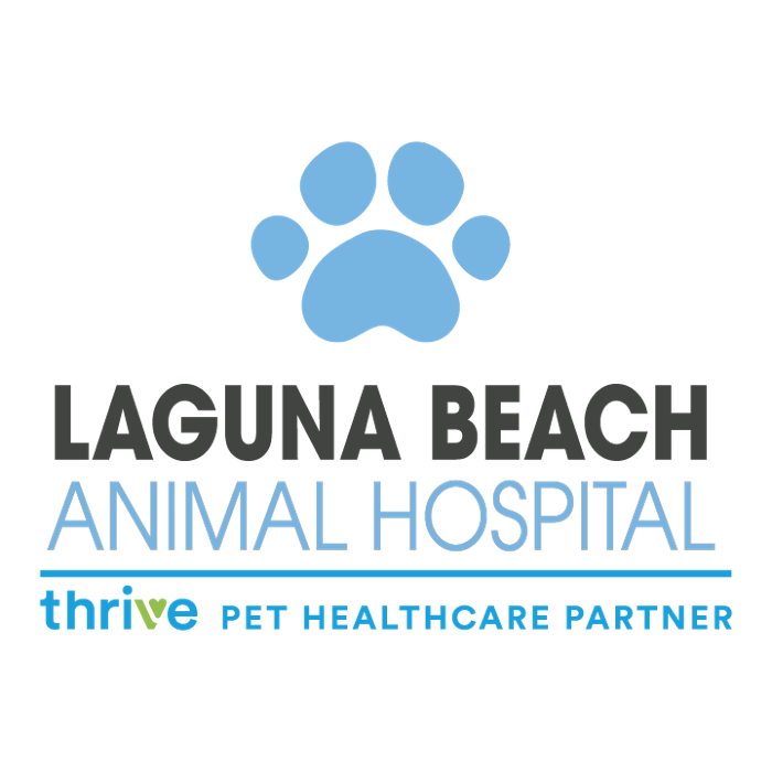 Laguna Beach Animal Hospital