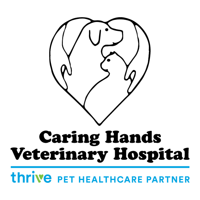 Caring Hands Veterinary Hospital