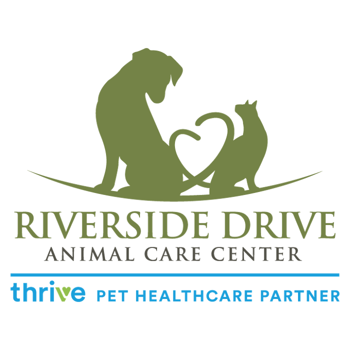 Riverside Drive Animal Care Center, A Thrive Pet Healthcare Partner
