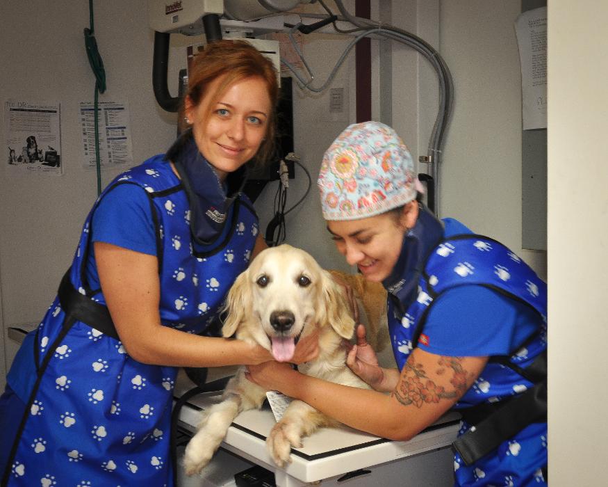 Central Maui Animal Clinic