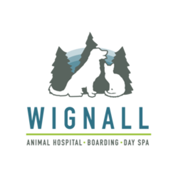Wignall Animal Hospital, A Thrive Pet Healthcare Partner