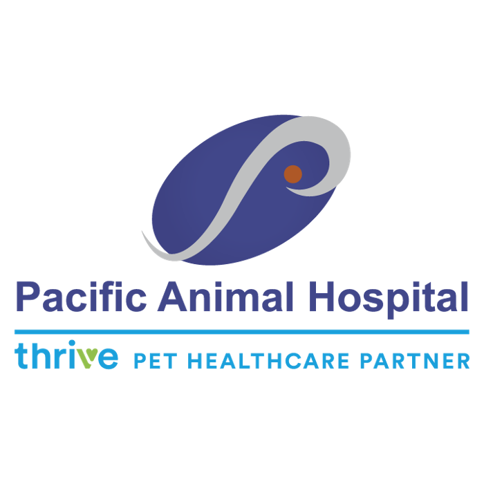 Pacific Animal Hospital