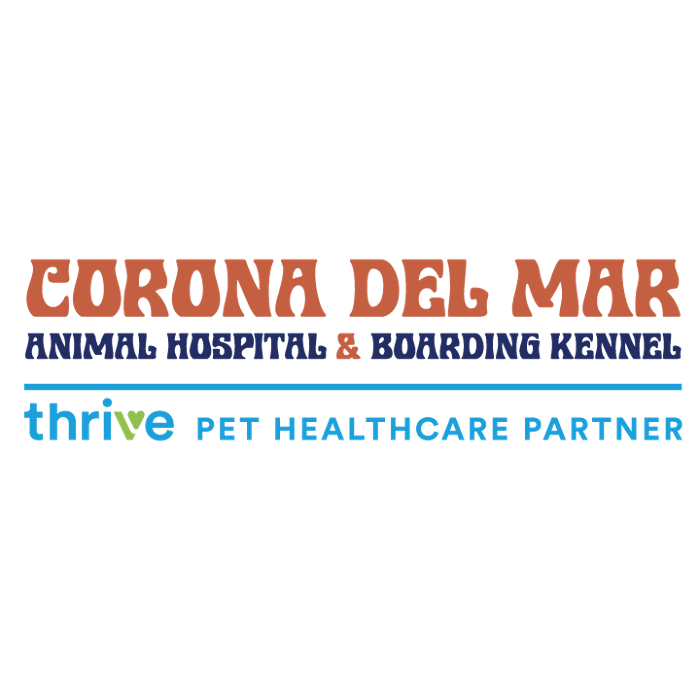 Corona del Mar Animal Hospital