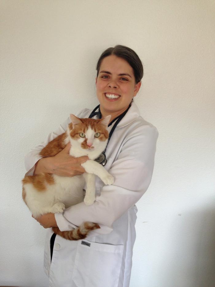 Redmond-Kirkland Animal Hospital, A Thrive Pet Healthcare Partner