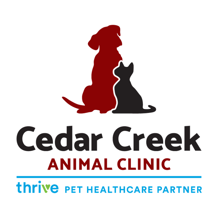 Cedar Creek Animal Clinic, A Thrive Pet Healthcare Partner