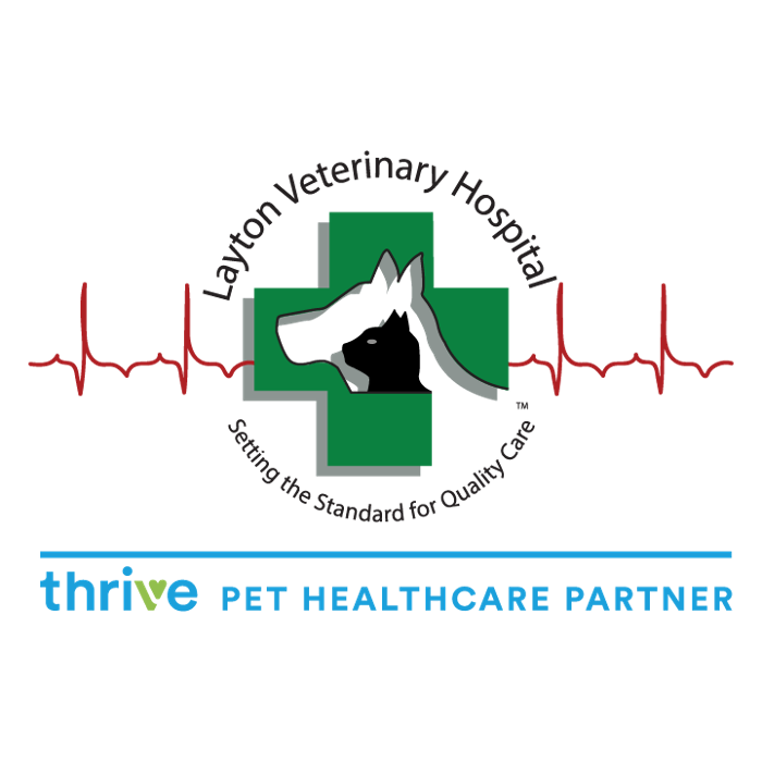 Layton Veterinary Hospital Logo