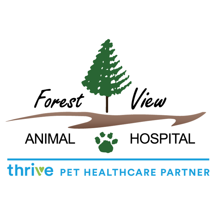 Forest View Animal Hospital, A Thrive Pet Healthcare Partner