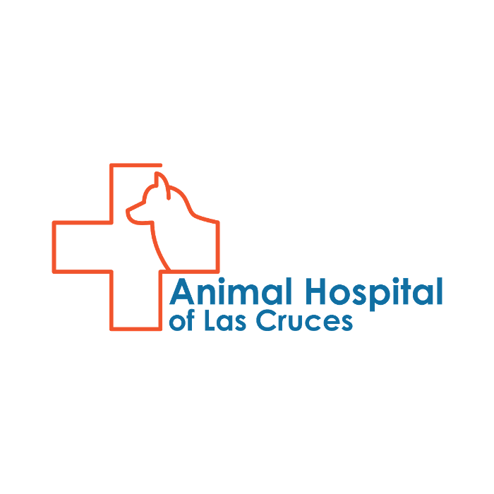 Animal Hospital of Las Cruces