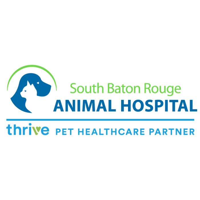 South Baton Rouge Animal Hospital, A Thrive Pet Healthcare Partner