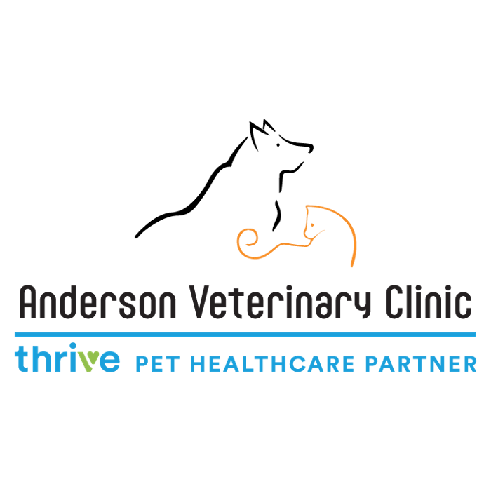 Anderson Veterinary Clinic, A Thrive Pet Healthcare Partner