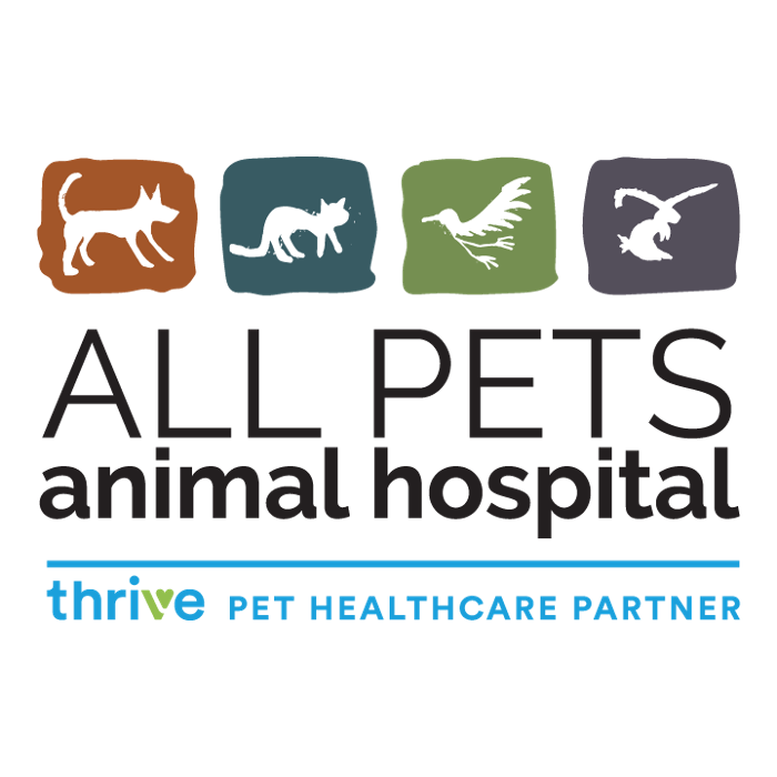 All Pets Animal Hospital
