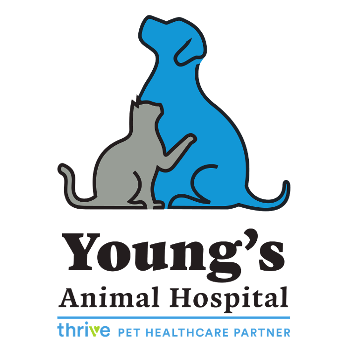 Young's Animal Hospital