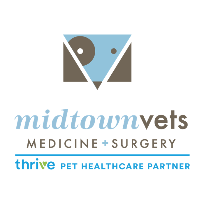 Midtown Vets