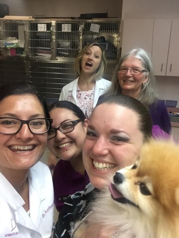 Dermatology for Animals - Oakland Image