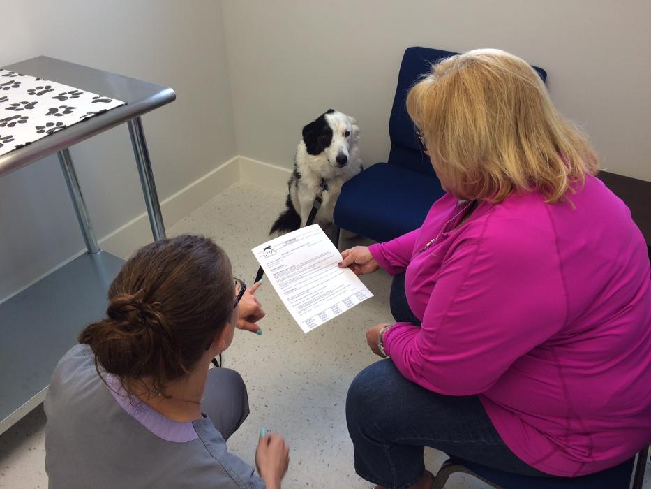 Dermatology for Animals - Oakland Image