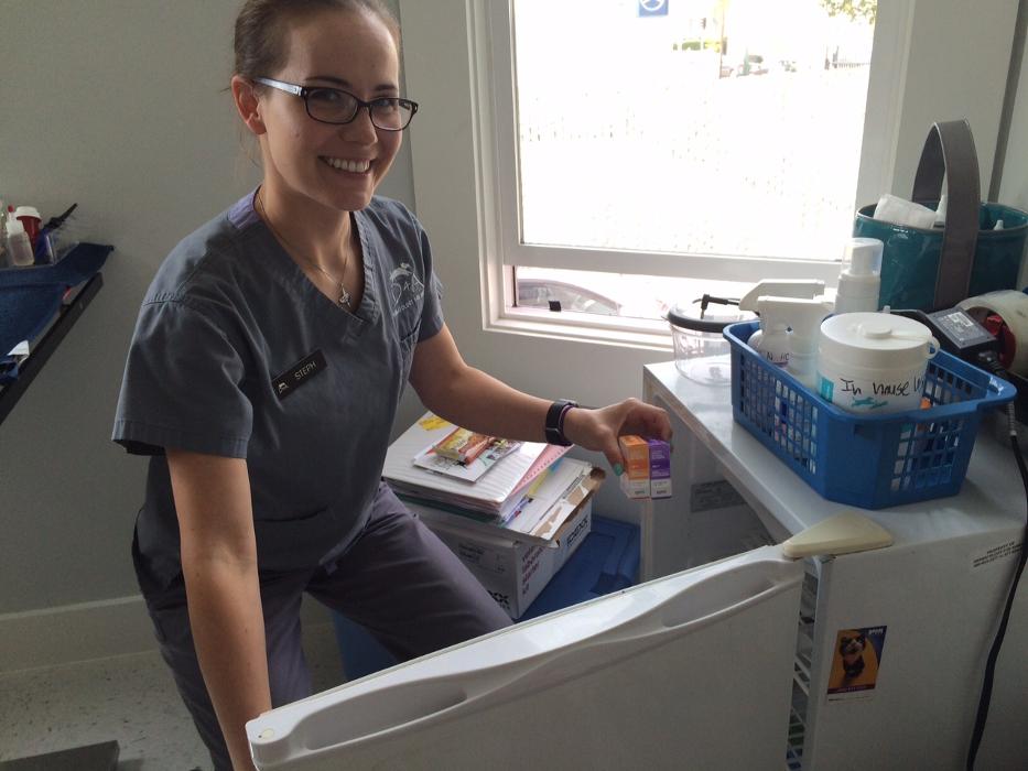 Dermatology for Animals - Oakland Logo