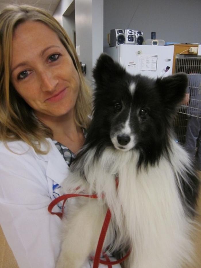 Dermatology for Animals - Oakland Image