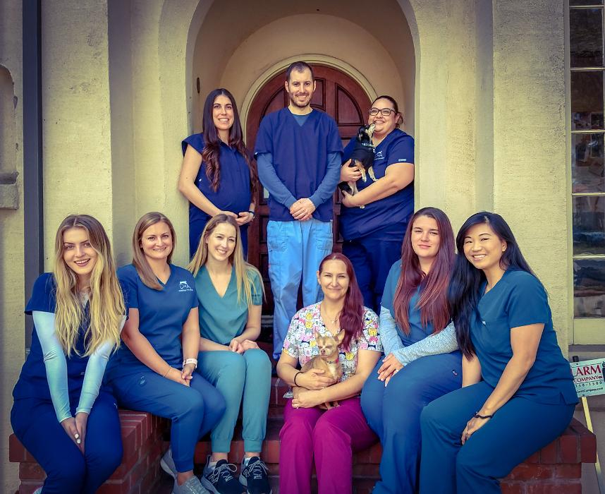 Dermatology for Animals - Campbell