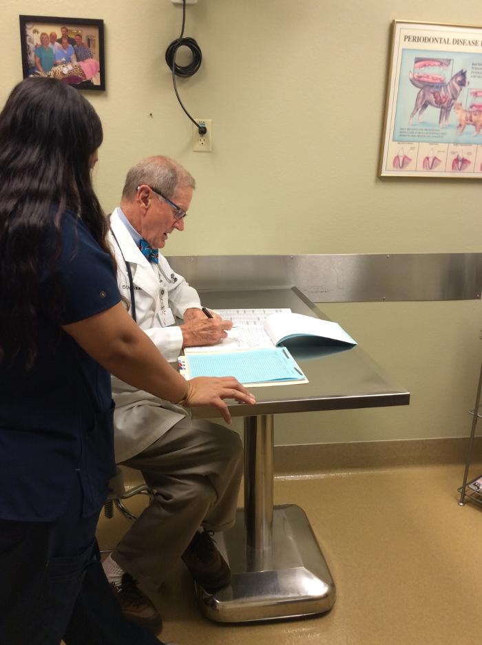 Arizona Veterinary Dental Specialists - Gilbert Image