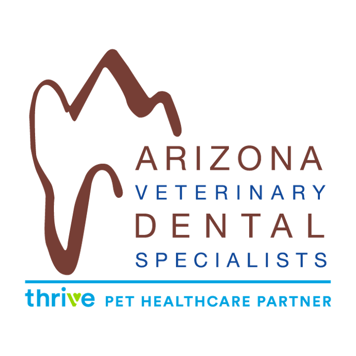 Arizona Veterinary Dental Specialists - Peoria Logo