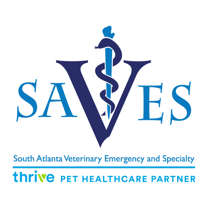 South Atlanta Veterinary Emergency & Specialty, A Thrive Pet Healthcare Partner
