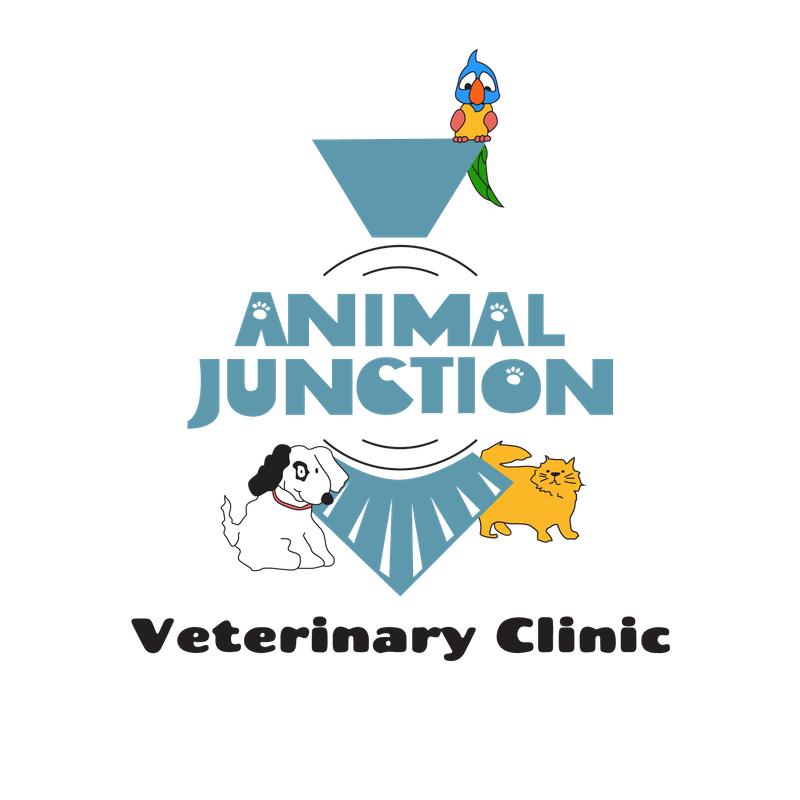 Animal Junction Veterinary