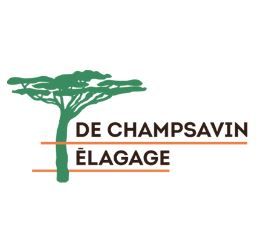 DE CHAMPSAVIN ELAGAGE travaux agricoles