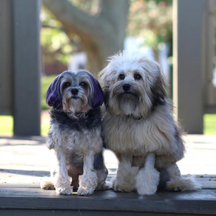 Lakeside Dental Image