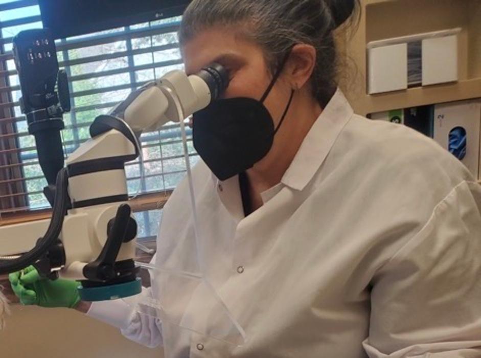 Lakeside Dental Image