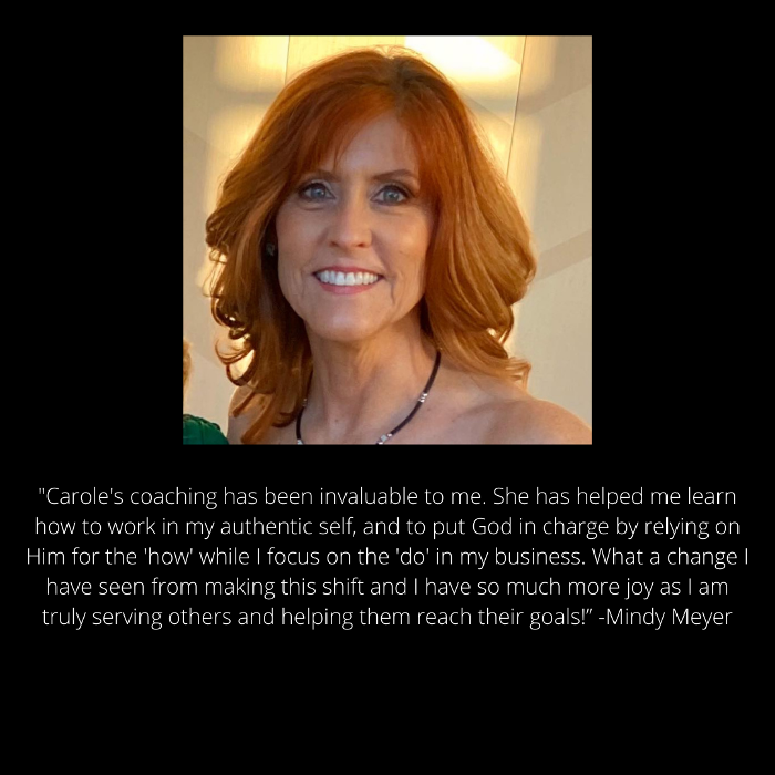 Carole Mendoza Leadership Solutions, LLC Image