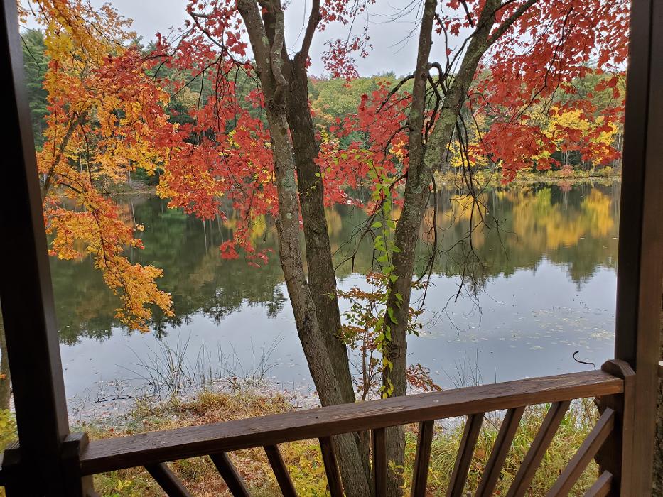 Pine Lake RV Resort & Cottages - Sturbridge, MA