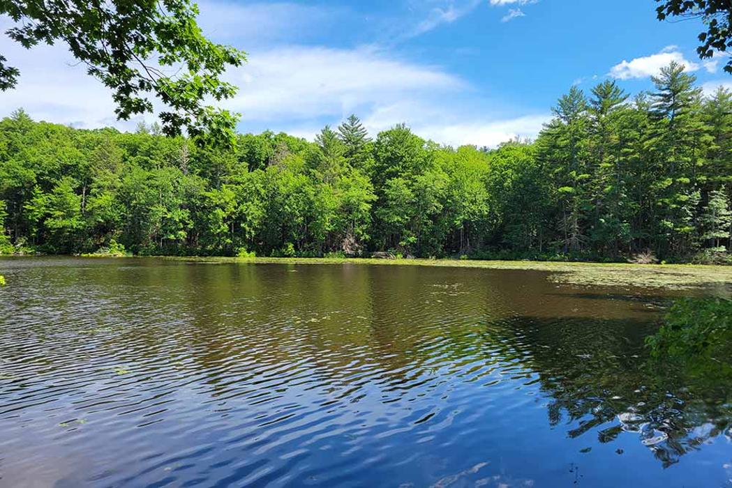 Pine Lake RV Resort & Cottages - Sturbridge, MA