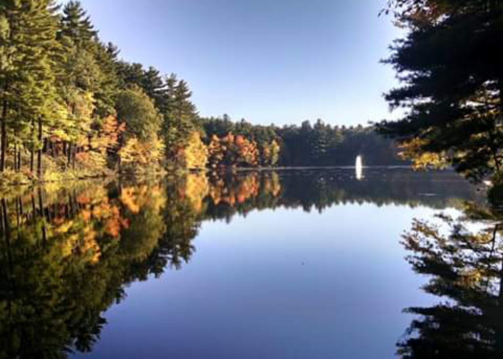 Pine Lake RV Resort & Cottages - Sturbridge, MA