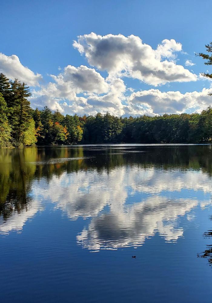 Pine Lake RV Resort & Cottages - Sturbridge, MA