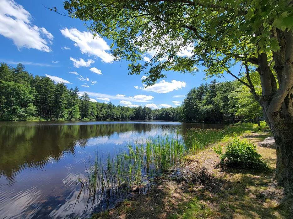 Pine Lake RV Resort & Cottages - Sturbridge, MA