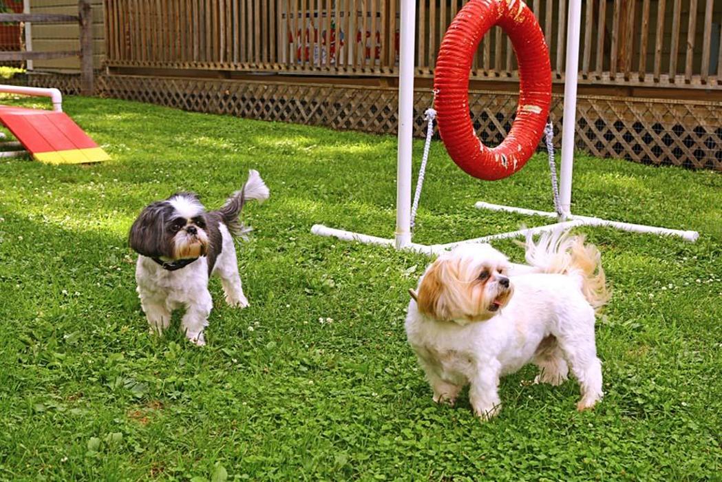 Copake Camping Resort - Copake, NY