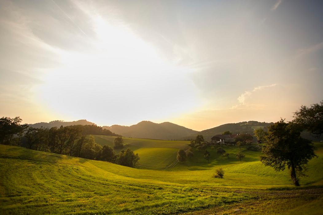 Wanderreithof Heimelsteiner, Wetzelsberg in Wetzelsberg