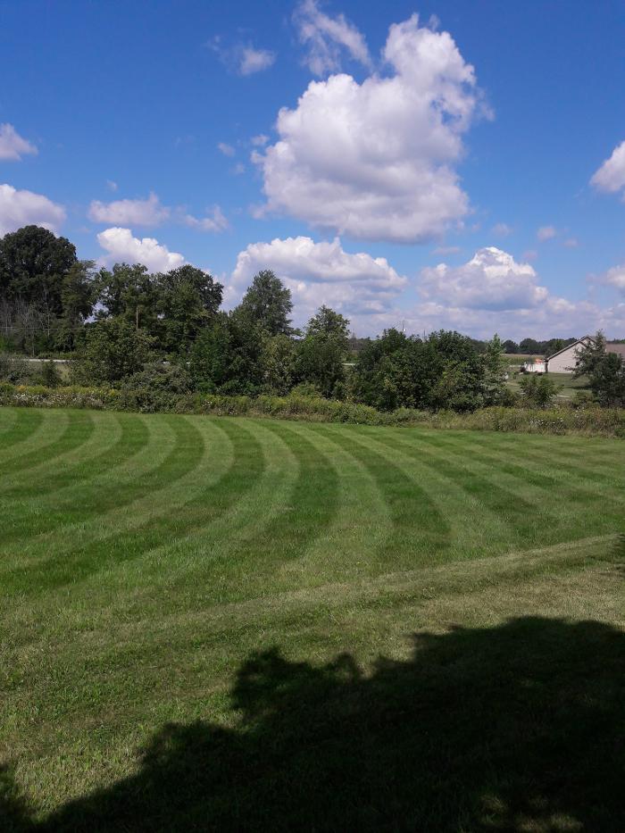 Mow Baby Mow - Fort Wayne, IN