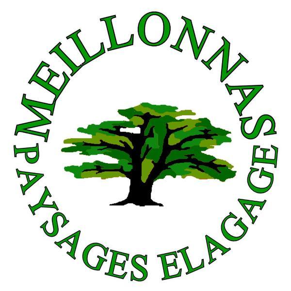 Meillonnas Paysages Elagage Expert