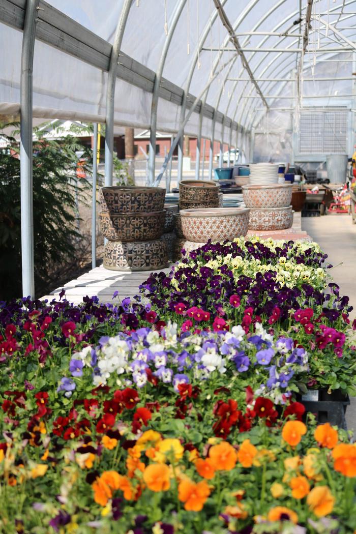 Breshear's Nursery & Greenhouse - Hot Springs National Park, AR