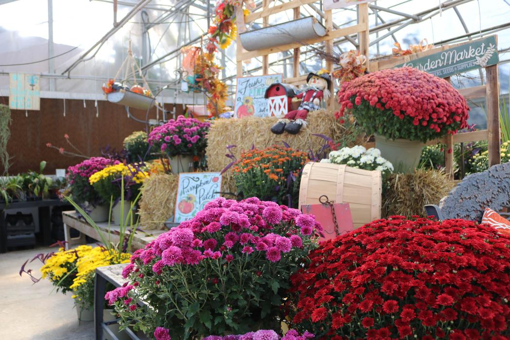 Breshear's Nursery & Greenhouse - Hot Springs National Park, AR
