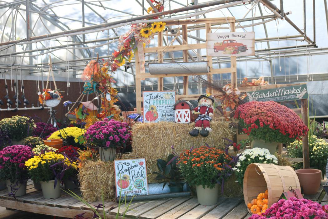 Breshear's Nursery & Greenhouse - Hot Springs National Park, AR