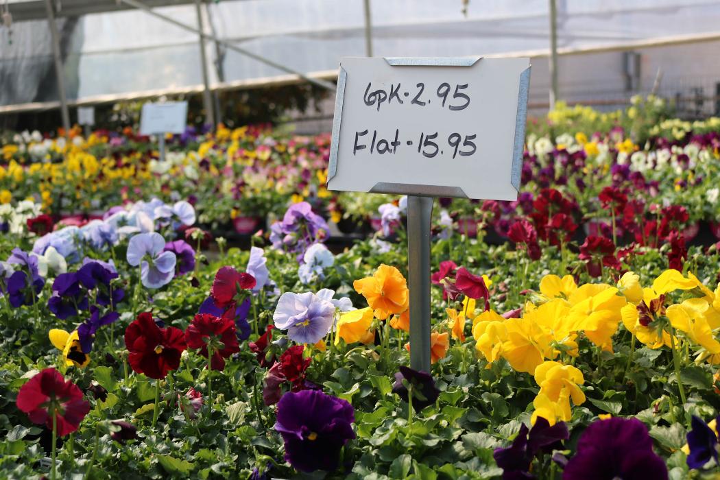 Breshear's Nursery & Greenhouse - Hot Springs National Park, AR