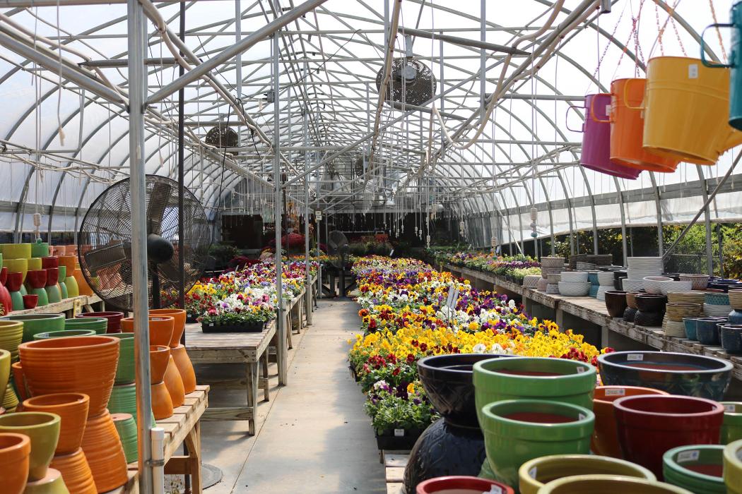 Breshear's Nursery & Greenhouse - Hot Springs National Park, AR