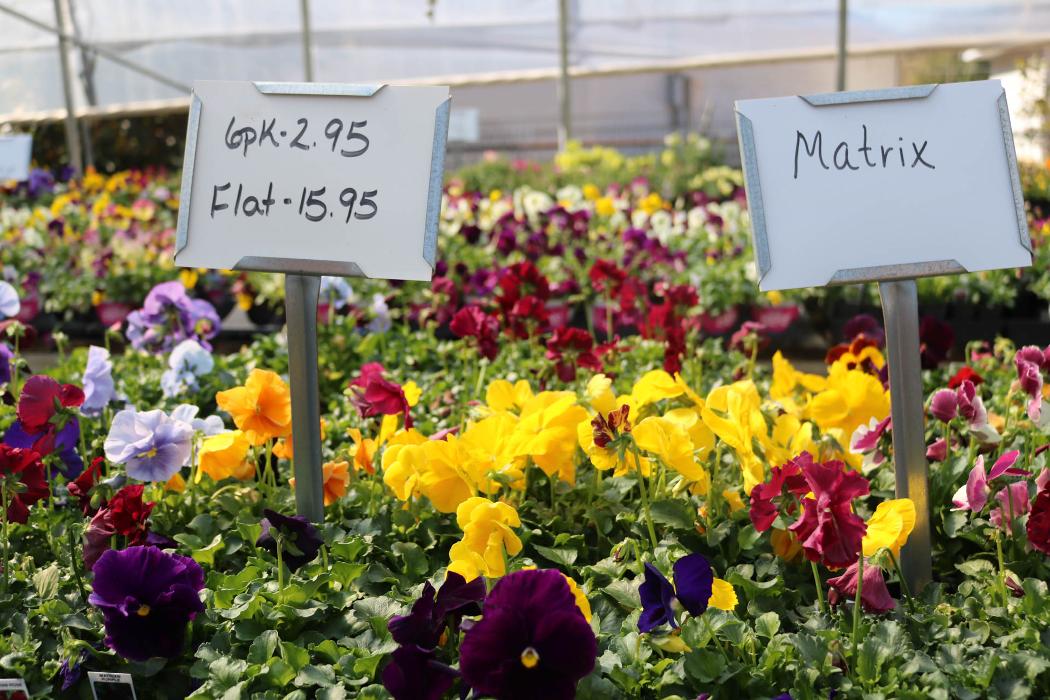 Breshear's Nursery & Greenhouse - Hot Springs National Park, AR
