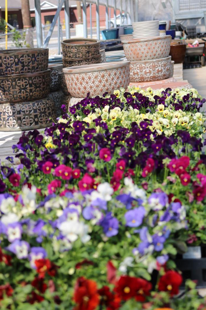 Breshear's Nursery & Greenhouse - Hot Springs National Park, AR