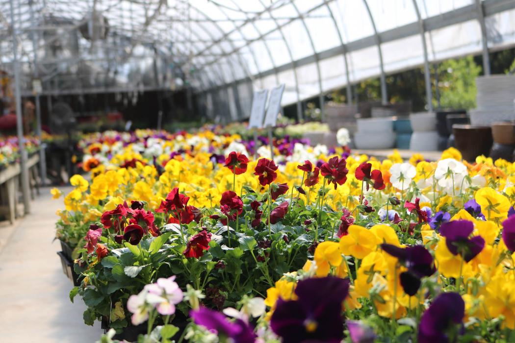 Breshear's Nursery & Greenhouse - Hot Springs National Park, AR