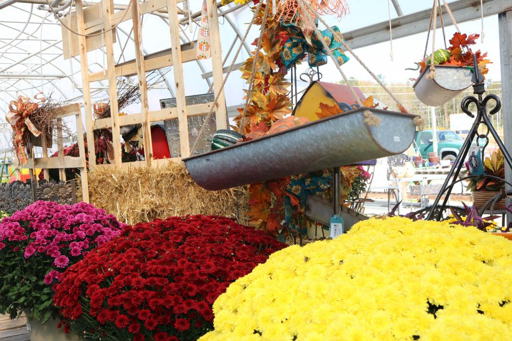 Breshear's Nursery & Greenhouse - Hot Springs National Park, AR