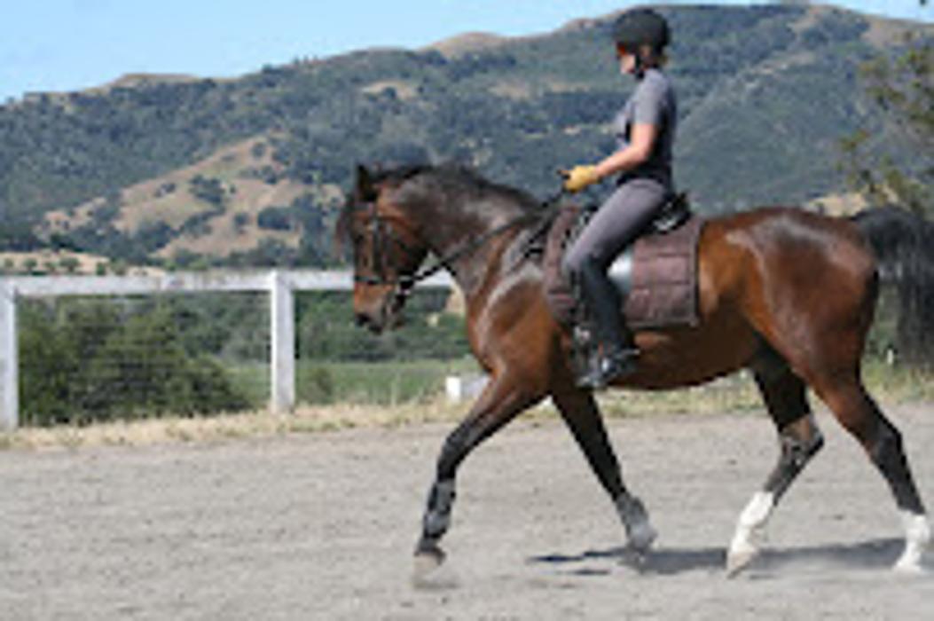 High Meadow Ranch - Solvang, CA