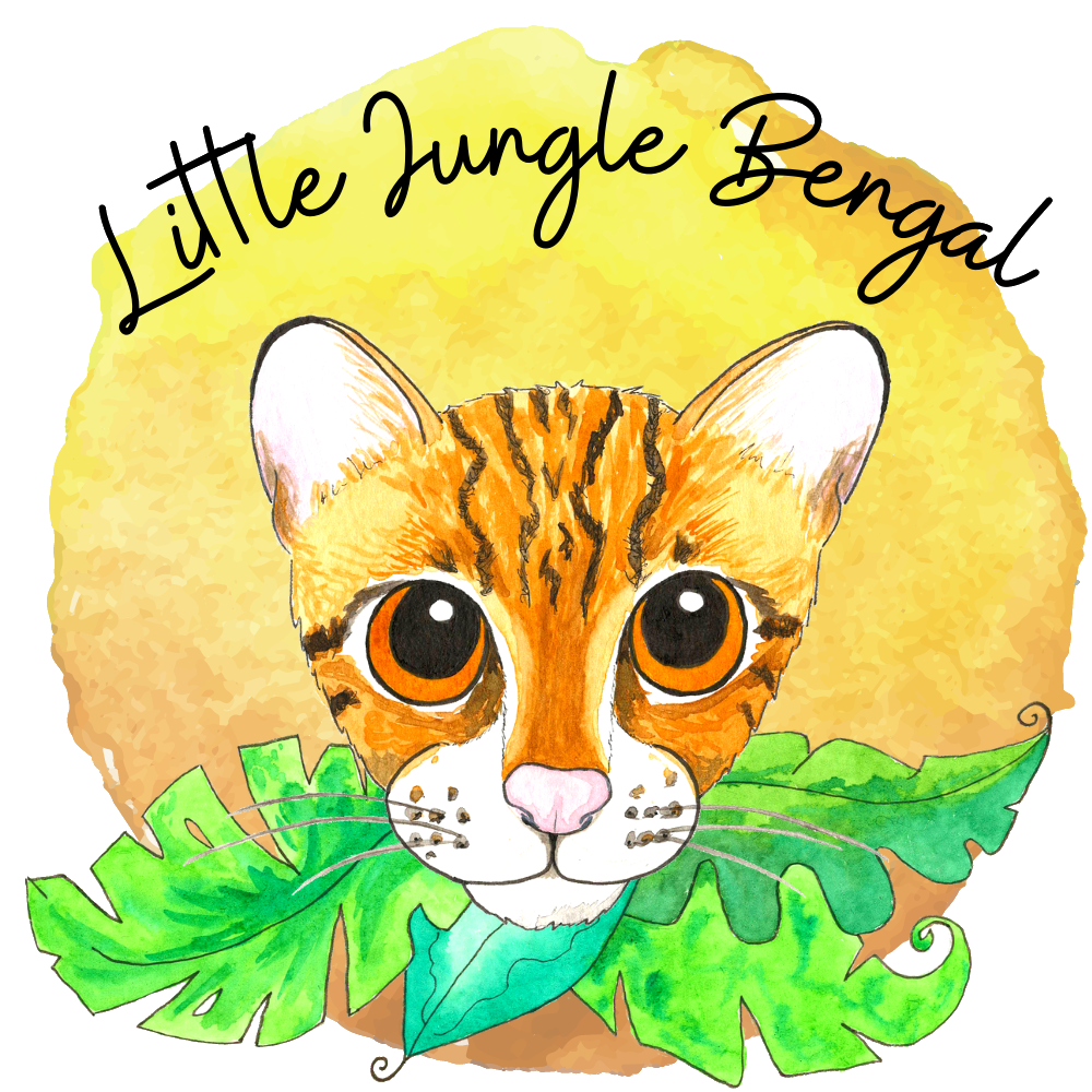 Little Jungle Expert
